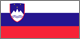 Slovenia Flag